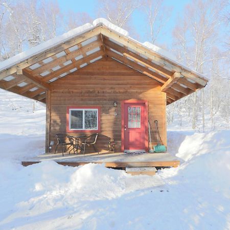 Spruce Cabin Talkeetna Εξωτερικό φωτογραφία