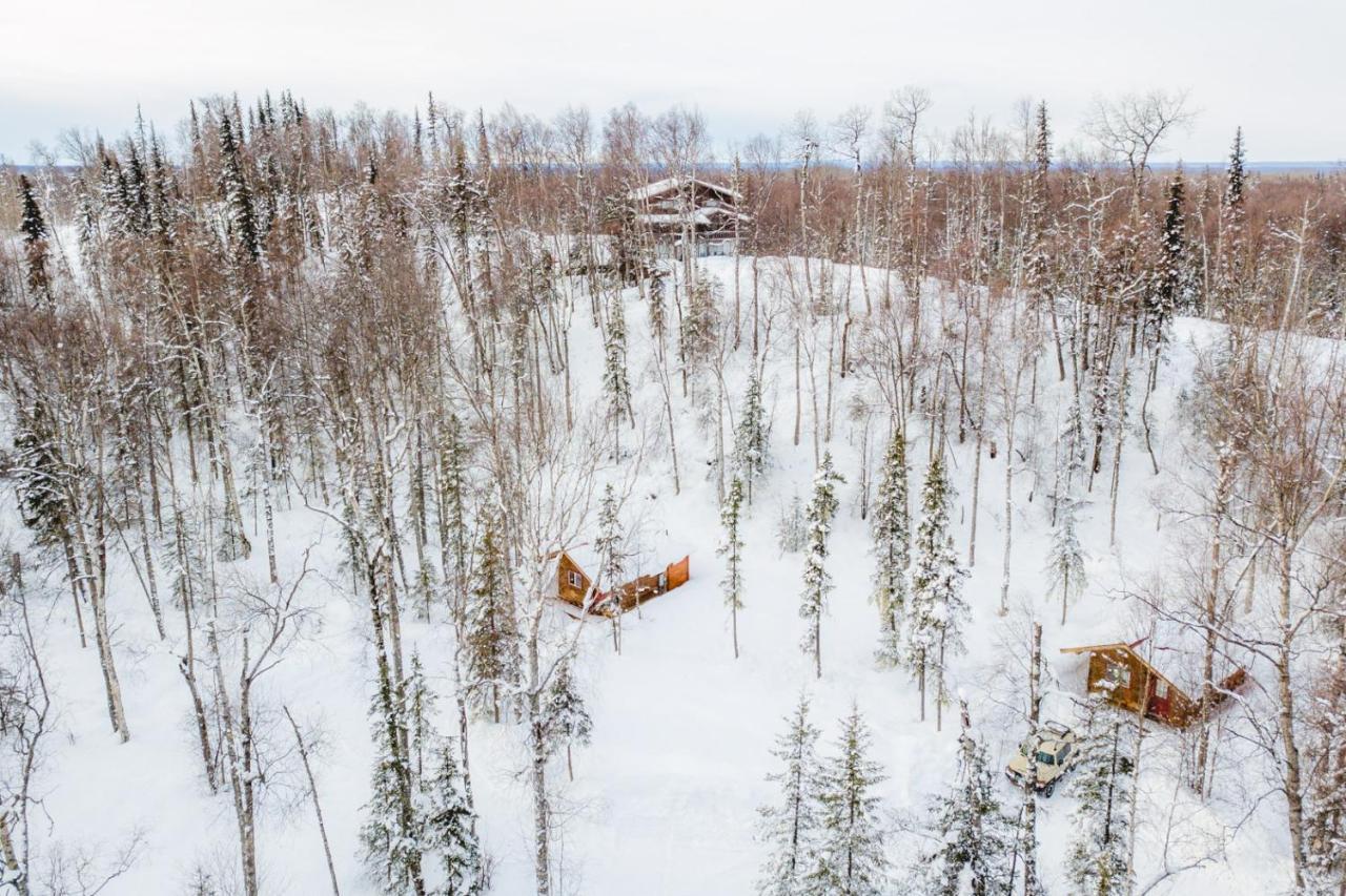 Spruce Cabin Talkeetna Εξωτερικό φωτογραφία